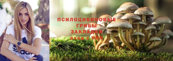 2c-b Ладушкин