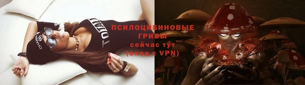 молекула духа Алзамай