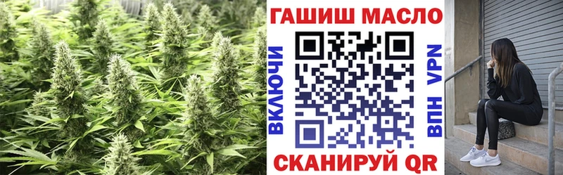 ТГК гашишное масло  МЕГА зеркало  Чехов  где найти  