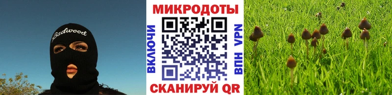 Псилоцибиновые грибы мицелий  Чехов 
